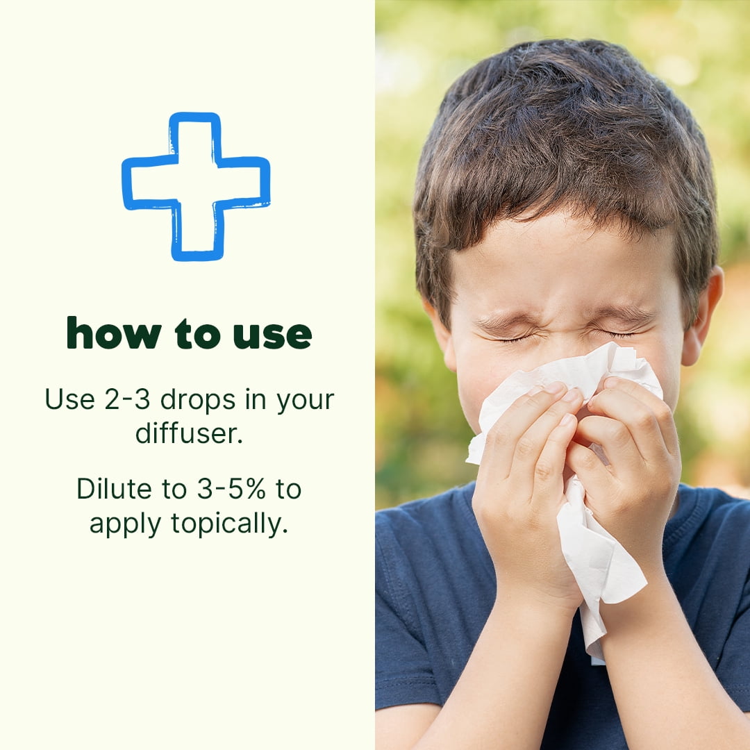 Plant Therapy KidSafe Sniffle Stopper Essential Oil Blend 30 mL (1 oz) Respiratory Support Blend 100% Pure, Undiluted, Natural Aromatherapy