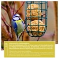 thumbnail image 4 of Wildtier Herz | Soporte para Bolas de Grasa 12 - Metal Inoxidable Comedero para Pájaros - Comedero Ecológico (31 Cm, Acero Inox.), 4 of 7