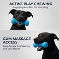 thumbnail image 6 of Dual-Action Canine Dental Prop, Bite and Brush Dental Toy for Dogs, Dog Dent𝐚𝐥 Chew Toy for Easier Teeth Brushing, for Daily Home Use, for Small Medium Large Dogs (3pcs), 6 of 8