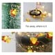 thumbnail image 4 of Teissuly 50 LED Christmas Decoration Fairy Lights Battery Operated,Wire Mini Light with Waterproof,Remote Control,8 Lighting Modes,Home Tree Indoor Outdoor Holiday Wedding Party Decor Teissuly WER202309201150, 4 of 9