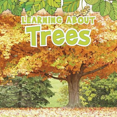 Pre-Owned Natural World Learning about Trees, (Paperback)
