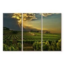 Elephant Stock South Of France Vineyard Wall Art - Horizontal Multi Panel Canvas - Living Room Wall Decor - Nature Multi Panel - Green And Brown Decor - 38" x 24"