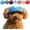 Blue, variant on Outdoor Sun Protection Hat for Dogs, Dog Cat Summer Beach Visor Hat with Ear Holes, for Small and Medium Sized Dogs Outdoor Climbing hat in Summer Pet Products (Camouflage, Small)