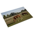 thumbnail image 3 of Print: Rural Alabama In The Spring, 2010, 3 of 4