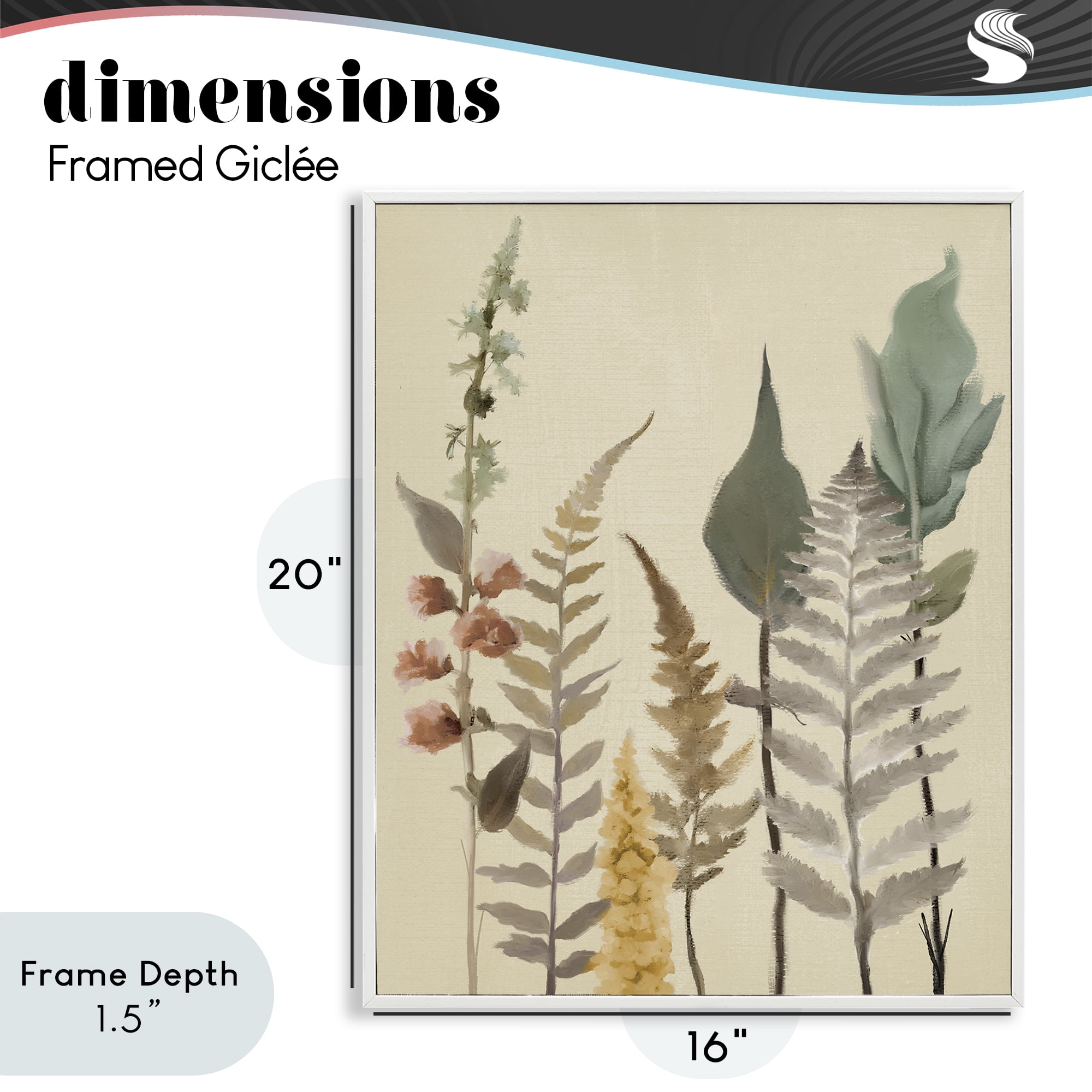 Stupell Industries Fall Botanicals Forest Ferns White Framed Giclee Art, design by Elizabeth Medley