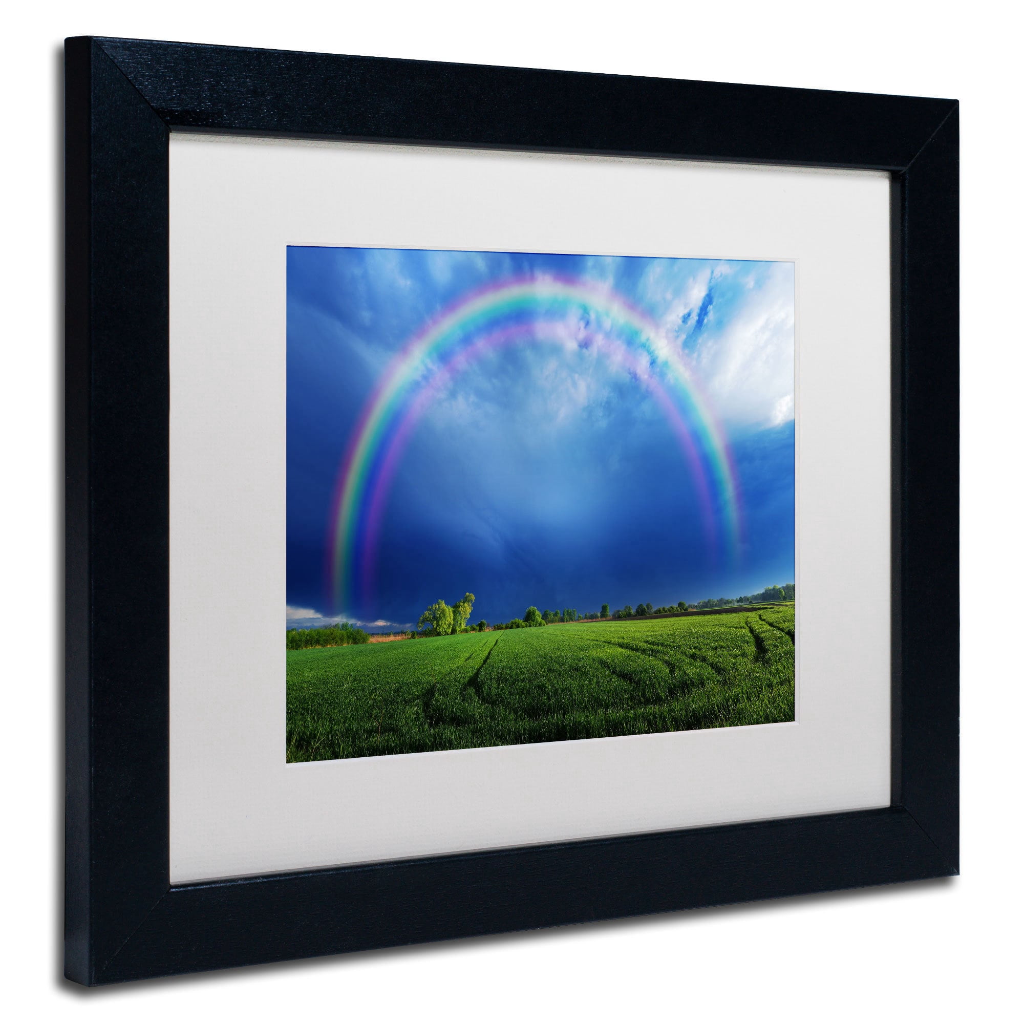 Trademark Fine Art "Lucky Rainbow" Canvas Art by Philippe Sainte-Laudy, White Matte, Black Frame