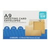 Pen + Gear Greeting Card Envelopes, Gold, Size A9 (5-3/4 in. x 8-3/4 in.), Peel & Stick, 25 per Pack