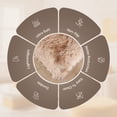 thumbnail image 4 of Moonlight20015 Area Rug 2x3ft non-slip Soft Fluffy Shaggy for Living Room Bedroom Décor Tye Dye Brown, 4 of 8