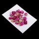 thumbnail image 2 of 20 Piezas de Flores Prensadas Secas Globosa para álbumes de Recortes de Bricolaje, 2 of 9