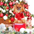 thumbnail image 3 of nol Chien Vtements, Vtements De Chien De Nol Pour Petits Chiens Nol Cratif Chien Costume, De Compagnie D'hiver Capuche Manteau(m), 3 of 5