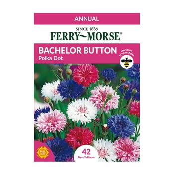 Ferry-Morse 58MG Bachelor Button Polka Dot Flower  Flower  Packet