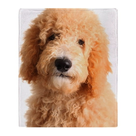 Cafepress Golden Doodle Puppy Soft Fleece Throw Blanket 50x60 Stadium Blanket - 