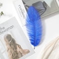 thumbnail image 7 of 20 Pcs Natural Ostrich Feathers,Bexikou 8-10inch Ostrich Feathers Plume for Wedding Centerpieces Home Decoration, 7 of 7