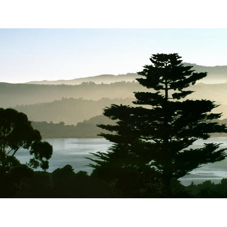 Hazy Mountain Lake, Seen from Top of Hill in Tiburon, Northern California, USA Print Wall Art By Diane (Best Lakes In Northern California)