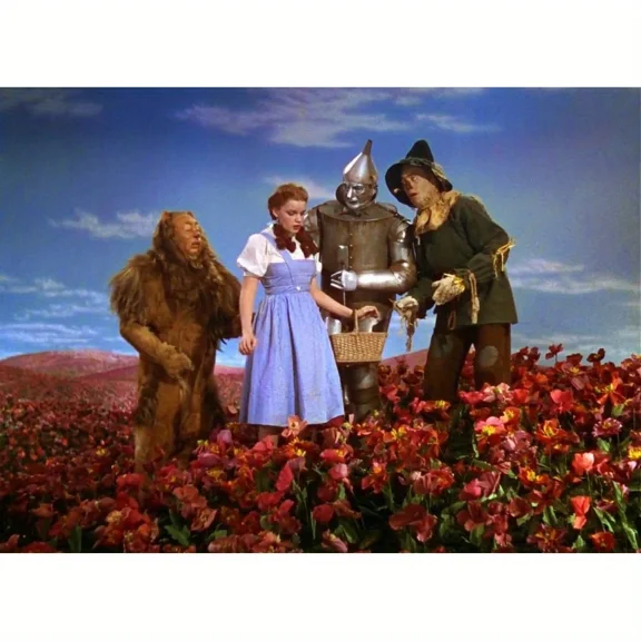 The Wizard of Oz 5D Diamond Painting Tools for Adults DIY Diamond Art Tools for Beginners with Round Full Diamond Diamond Gemstones Home Wall Painting Art Decoration Gift Artwork