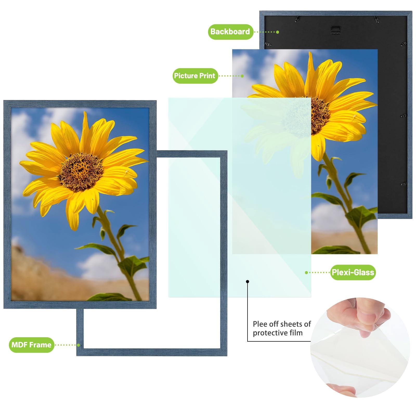 Golden State Art A2 16.5x23.4 Inch Wall Picture Frames with Plexiglass, Blue, Set of 2