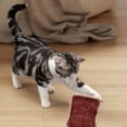 thumbnail image 5 of Natural Loofah Chew Toy for Interactive Cleaning Activity for Cats and Small Dogs, 5 of 5