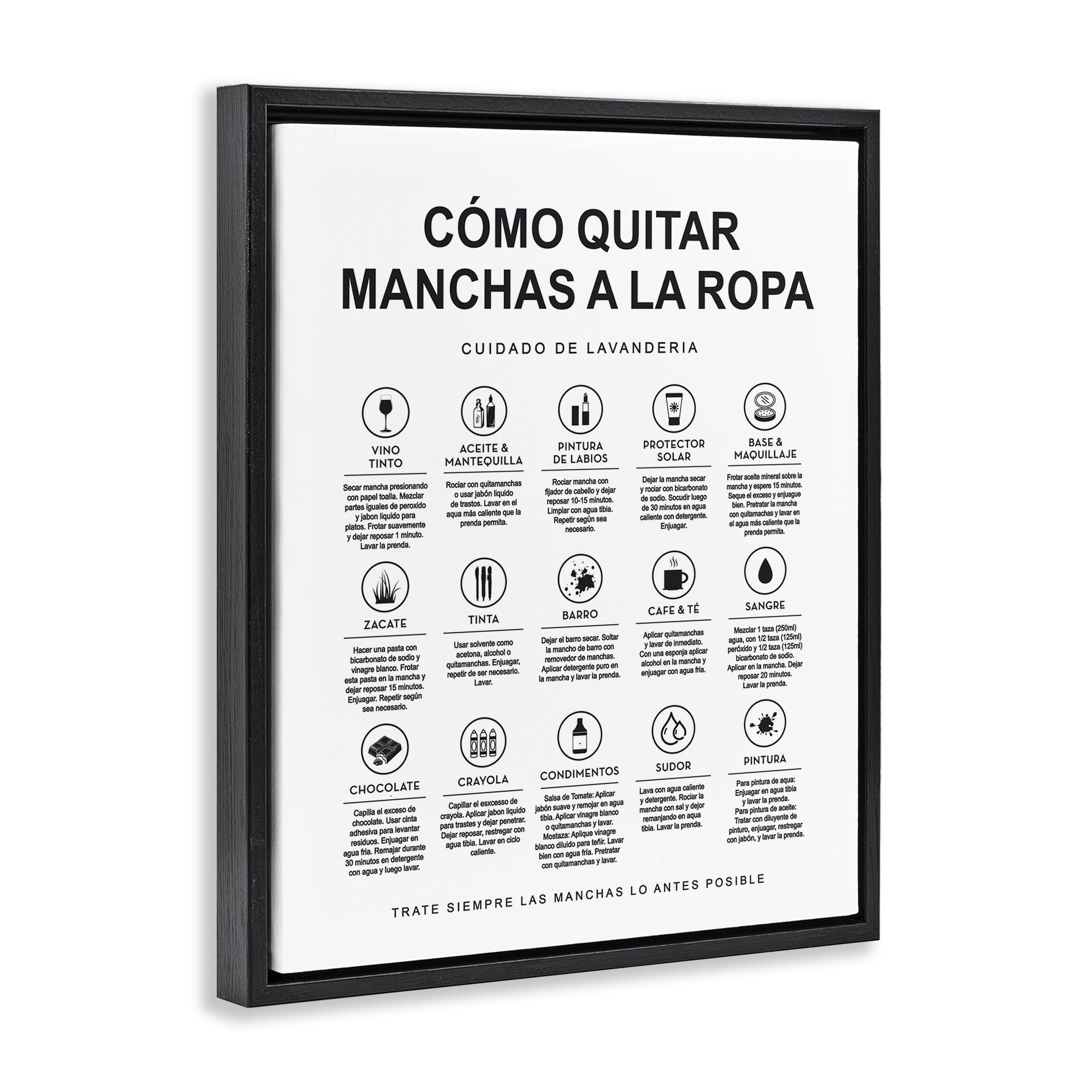 Stupell Industries Guía de Limpieza de Manchas Bath & Laundry Painting Black Floater Framed Art Print Wall Art, 17 x 21