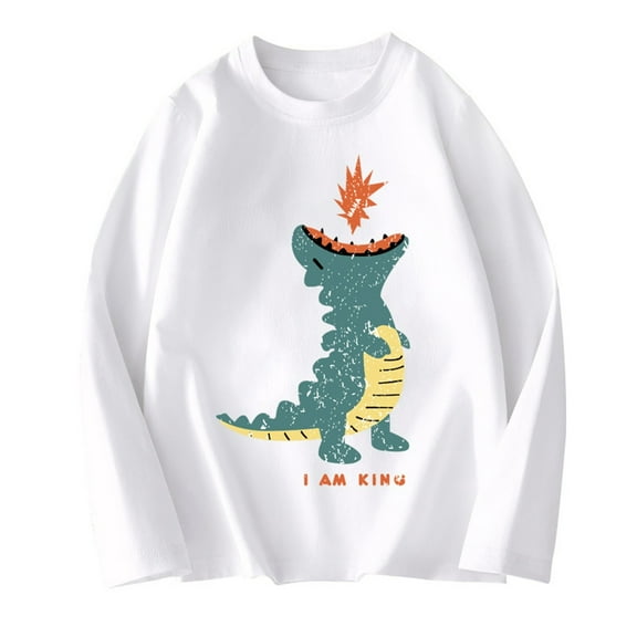 Eltusu Boys Long Sleeve Tops, Pullover Crew Neck Cotton Casual Graphic Tees White Size 2-12 T