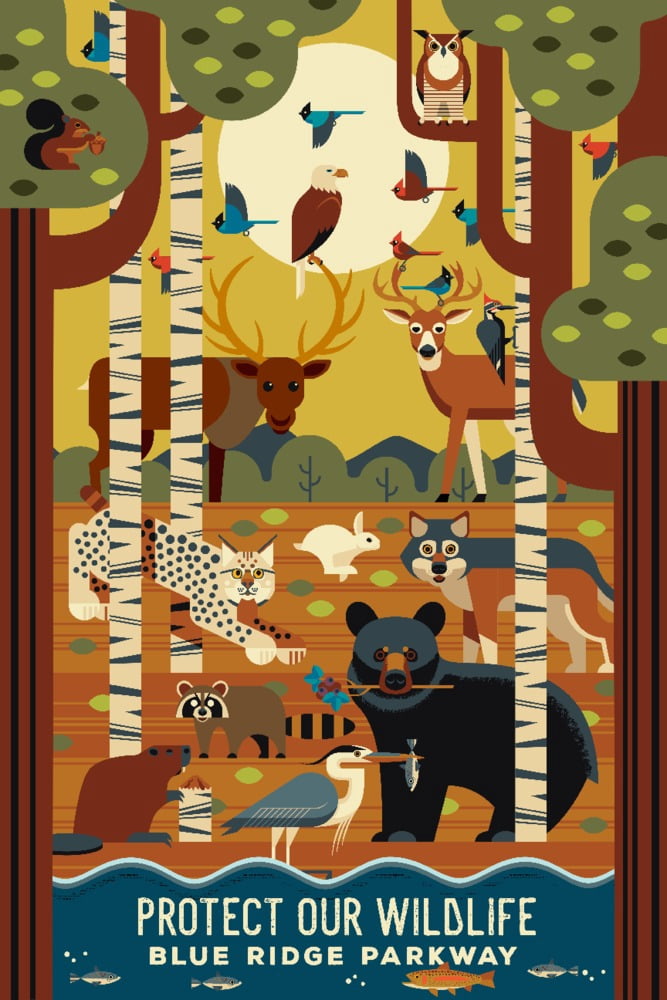 Blue Ridge Parkway, Protect our Wildlife, Forest Animals, Geometric ...