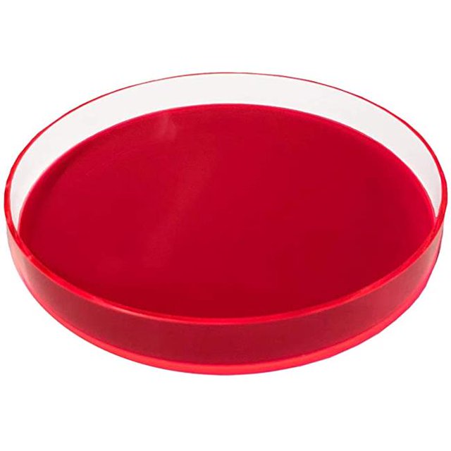Neon Pink Round Lucite Tray