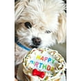 thumbnail image 2 of DEZICAKES Dog Birthday Cake- Edible Puppy Crunchy Cookie Cake- Bad to the Bone- Dog Cake Boxed & Decorated Natural Ingredients Bacon Cheddar, 2 of 14