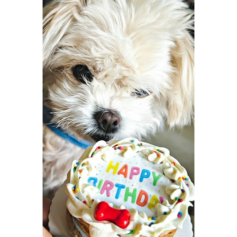 Bacon dog cake online