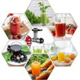 thumbnail image 5 of TrueNorth Slow Juicer Fruit And Vegetable Juice Extractor Citrus Squeezer For All Kitchenaid Blenders - Juicer Accessory, 5 of 5