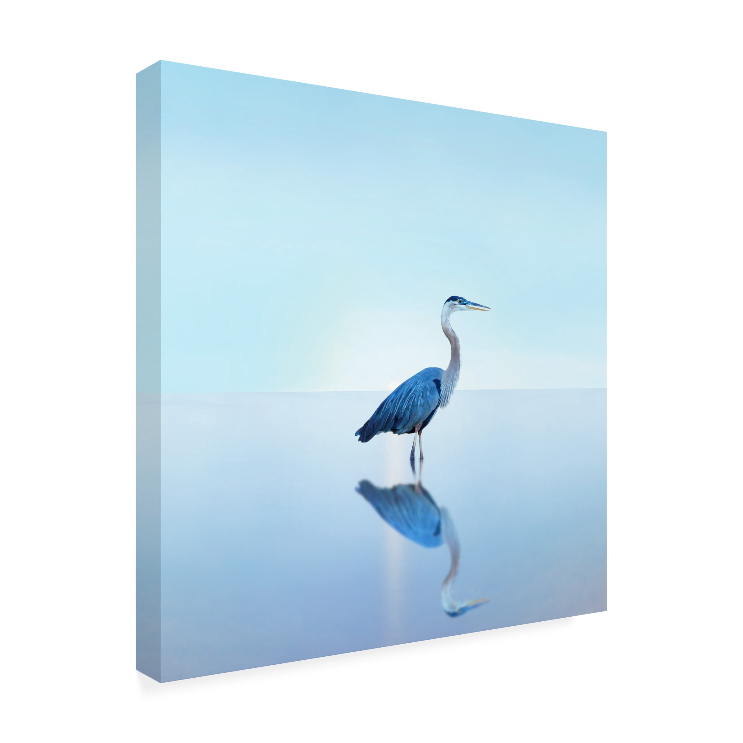 James McLoughlin 'Beachscape Heron II' Canvas Art