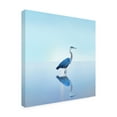 thumbnail image 2 of James McLoughlin 'Beachscape Heron II' Canvas Art, 2 of 3