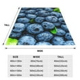 thumbnail image 3 of Bingfone Fresh Blueberries Print Flannel Fleece Blanket Throw Blanket for Bed,Sofa,Couch,Travel,Camping(50"x40" ), 3 of 8