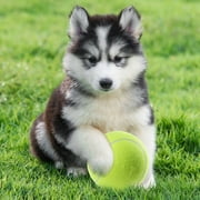 Toorise 4pcs Pet Toy,9.5 bigdogball Rubber Kelly Big Giant Tennis Ball, Thicker Durable Mega Jumbo Dog Play Supplies Fun Thrower Chucker Training,Pet Instincts Interact Fetch Balls (No Air Pump)