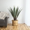 thumbnail image 2 of Northlight 31.5" Aloe Succulent Artificial Potted Plant - Green, 2 of 7