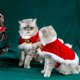 thumbnail image 5 of Disfraz de Navidad para gatos Capa para gatos de Navidad Capa para gatos Ropa para mascotas, 5 of 8
