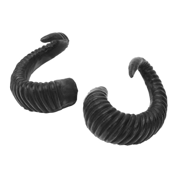 FENGGUIQU 1 Pair Black Plastic Decorative Hair Bands for Party, Family Events, Costume Accessory, Lightweight Hair Ornaments