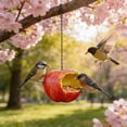 thumbnail image 7 of Hamster Chew Toy Set Apples-Shaped Resin Ornament,Outdoor Hanging Decoration and Bird Feeder for Small Animals Vibrantes Lifes, 7 of 7