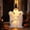 3#, variant on Halloween Decorations 2PC Outdoor Spooky Witch Ghost Dog With Light Party and Yard