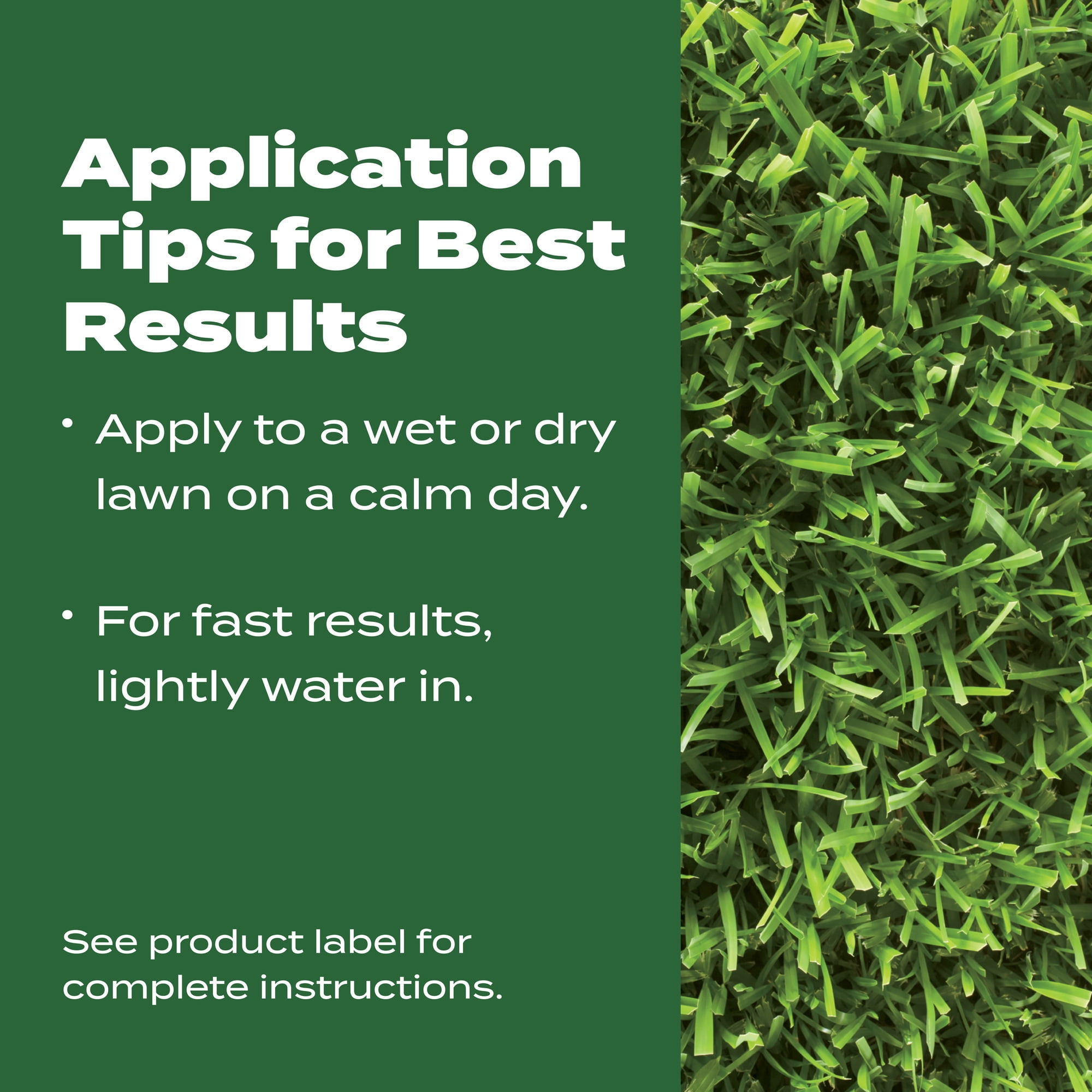 Scotts turf builder southern lawn food online