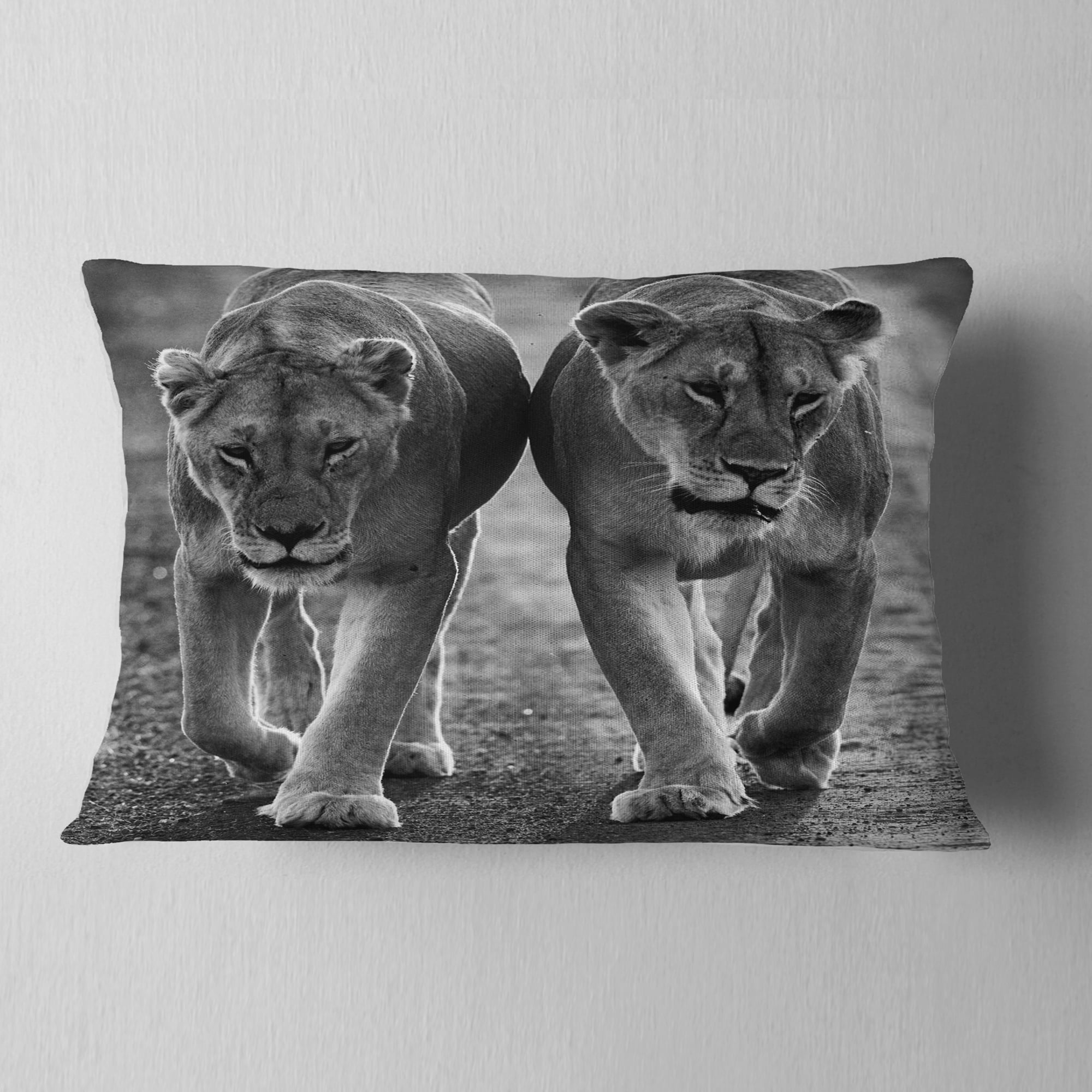 Designart Lions in Black and White - Animal Photo Throw Pillow - 12x20