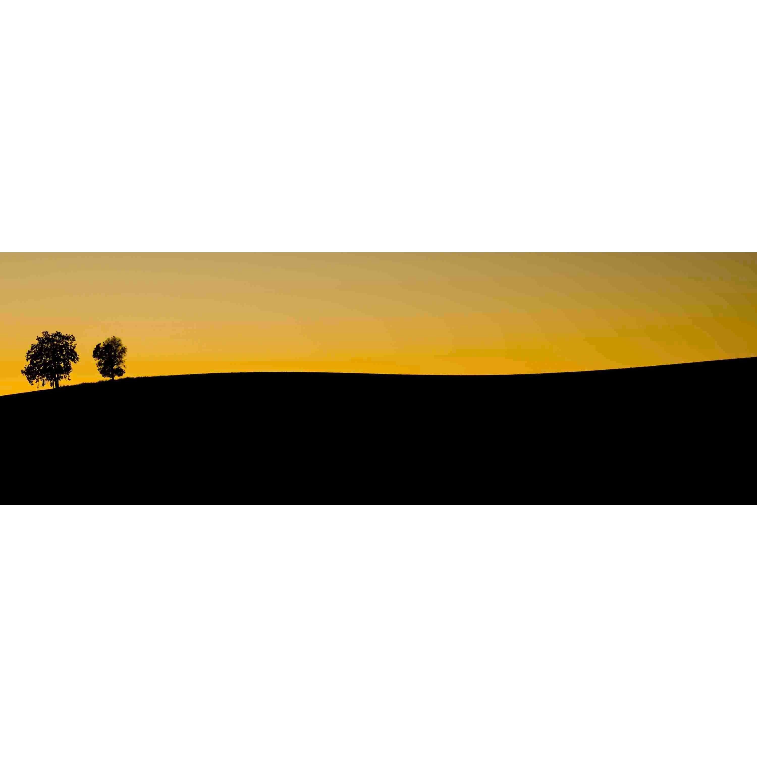 Marmont Hill "Two Trees at Sunset" Painting Print on Canvas