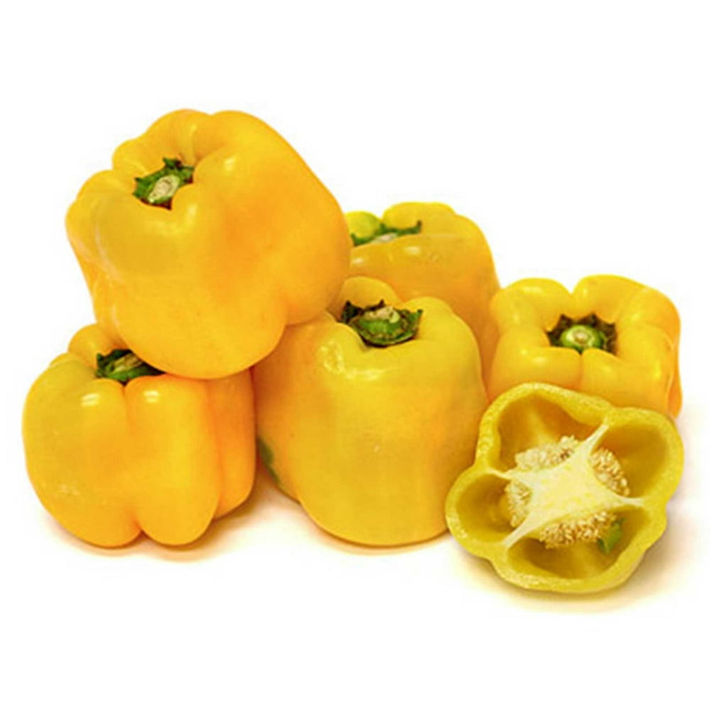 Sunbright Sweet Pepper Garden Seeds 1 oz NonGMO Large Yellow