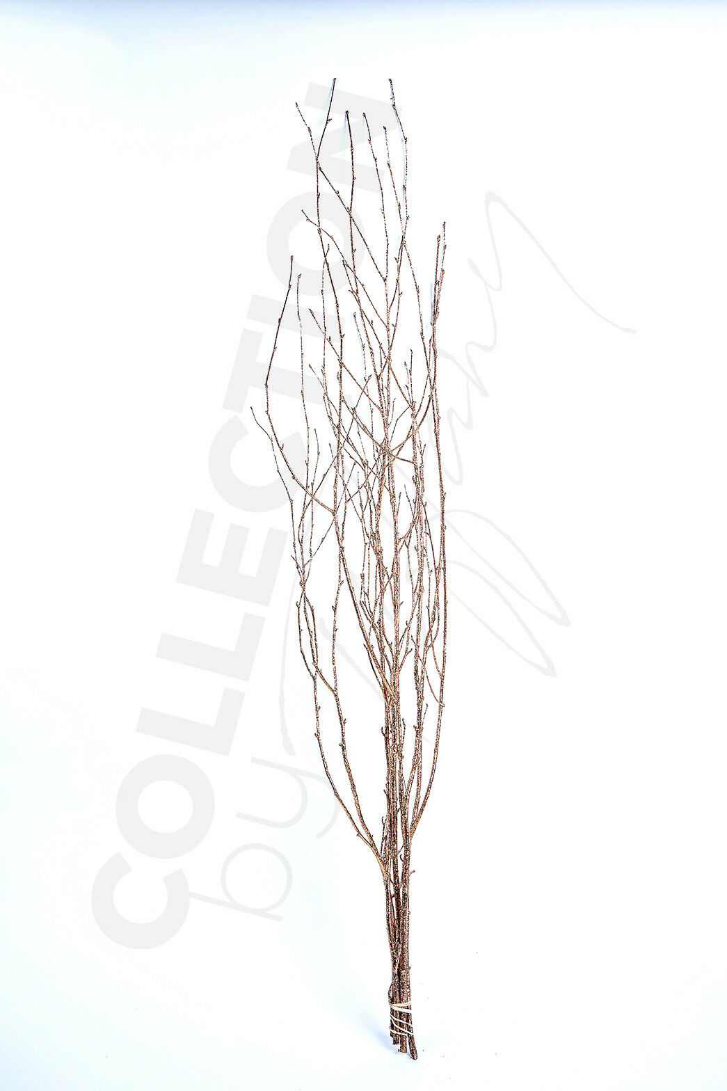Decorative Dried Birch Branches 3 4 Ft Tall (4 5 Branches / Bunch