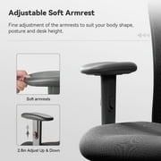Sihoo M18 Mesh Ergonomic Office Chair with Adjustable Lumbar Support, High Back, Black
