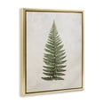 thumbnail image 4 of Stupell Industries Detailed Fern Leaf Botanical & Floral Painting Gold Floater Framed Art Print Wall Art, 25 x 31, 4 of 10