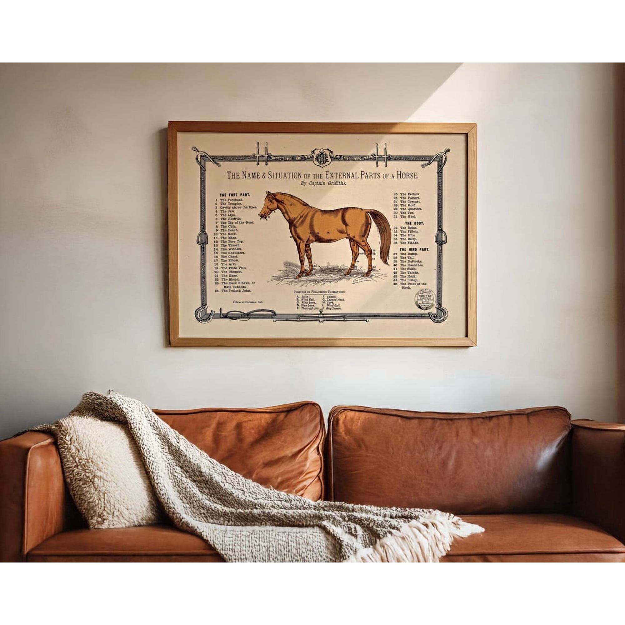 Vintage Horse Wall Art Print Equestrian Antique Anatomy Diagram Farmhouse Nature Inspired Living Room Decor