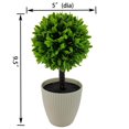thumbnail image 3 of Mainstays 9.5" Indoor Artificial Plant in Pot, Green Color Boxwood., 3 of 5
