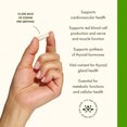 thumbnail image 5 of Swanson Mineral Supplements High Potency Triple Iodine Complex 12.5 mg Capsule 60ct, 5 of 8