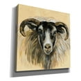 thumbnail image 2 of Epic Graffiti 'Highland Animal Ram' by Silvia Vassileva, Canvas Wall Art, 12"x12", 2 of 8
