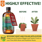 ⭐ GARDENERA Organic Liquid Kelp Fertilizer - 8 oz -Enhance Your Gardens Yield with Seaweed Fertilizer for Plants - Concentrated Kelp & Seaweed Extract