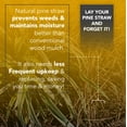 thumbnail image 4 of Premium Pine Straw Mulch Bale for Landscaping, Organic Material Made from Authentic Pine Needles Ideal for Gardening, Soil Moisture Retention., 4 of 5